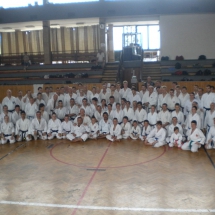 Dal 12 al 16 luglio Ungheria Budapest I.J.K.A INTERNATIONAL GASSHUKU 2012 Chief Instructor : Shihan Sadashige Kato 9° Dan