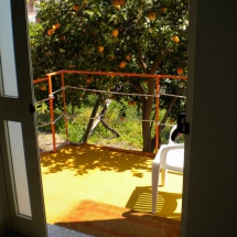 Dojo