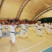 giugno-2006-roma-seminario-tecnico-w-s-k-f-3