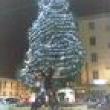 23 dicembre Messina:manifestazione presso la sede AICS