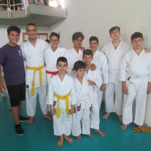 grafica 2