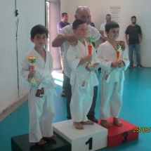 grafica 3