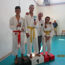 grafica 5