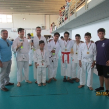 grafica 7