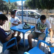 grafica 9
