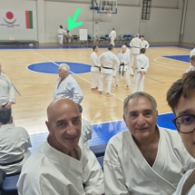 1000027387 1000027387